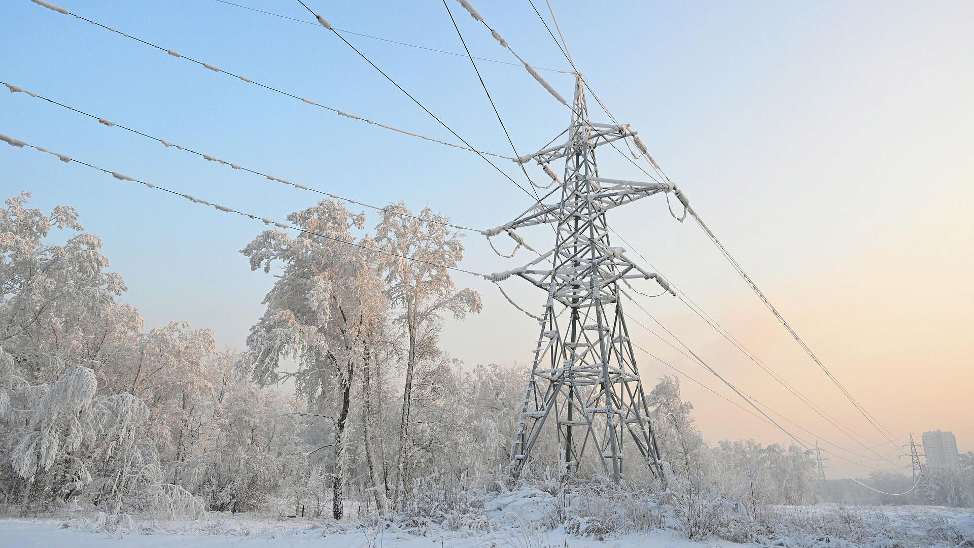 Путин поручил рассмотреть корректировку тарифов на электричество в Якутии