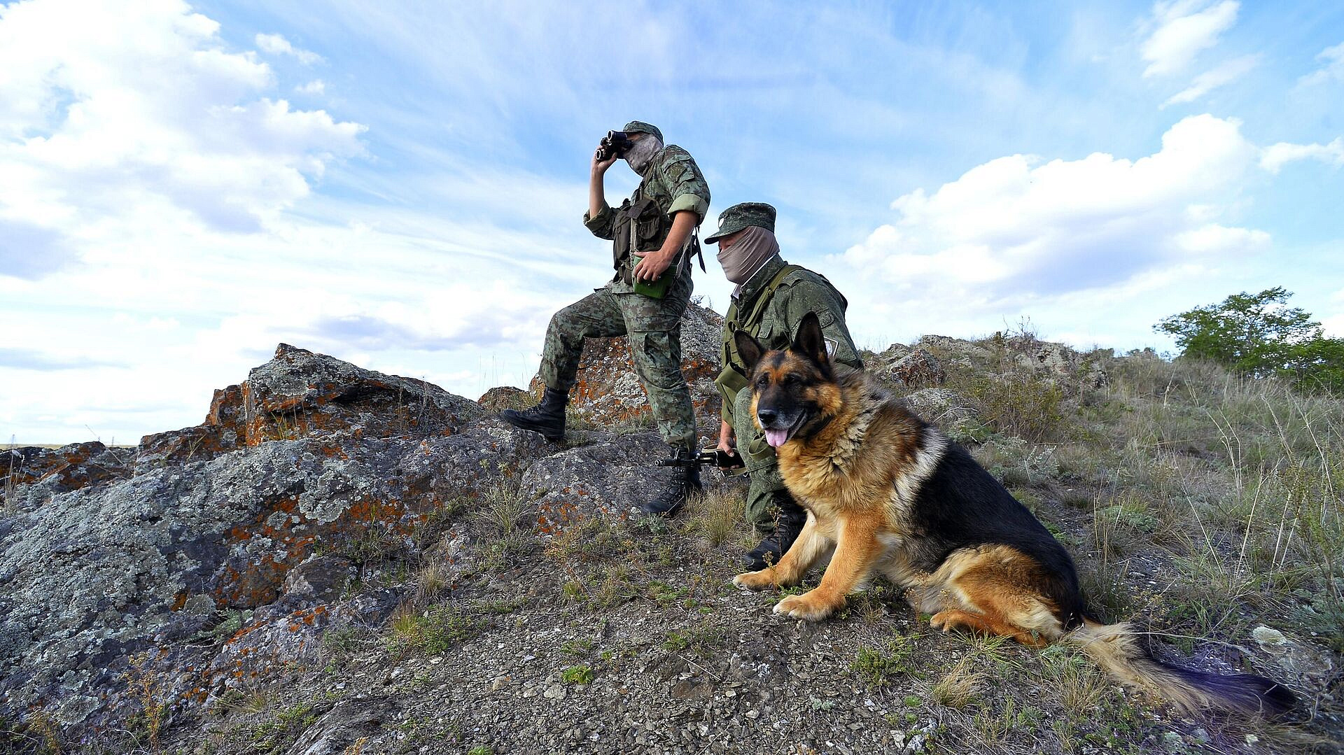 ����� ������������ ��� ������� �������� � ������ ������������� � ���� ���