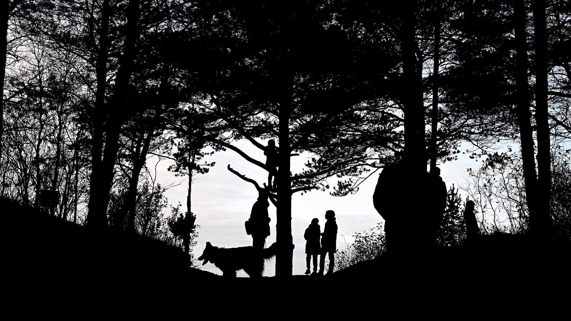 ����� ������������ �� ��������� ������������������� ����� ����� �����������