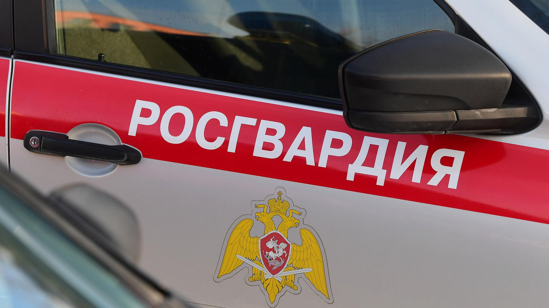 Во дворце в Ленинградской области задержали пьяного дебошира в трусах
