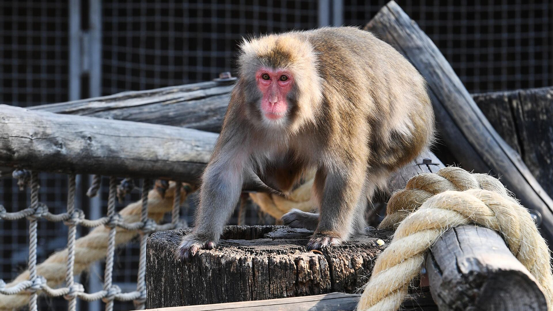 � �������������� �������� � �������� ����� �������� ��� ��������