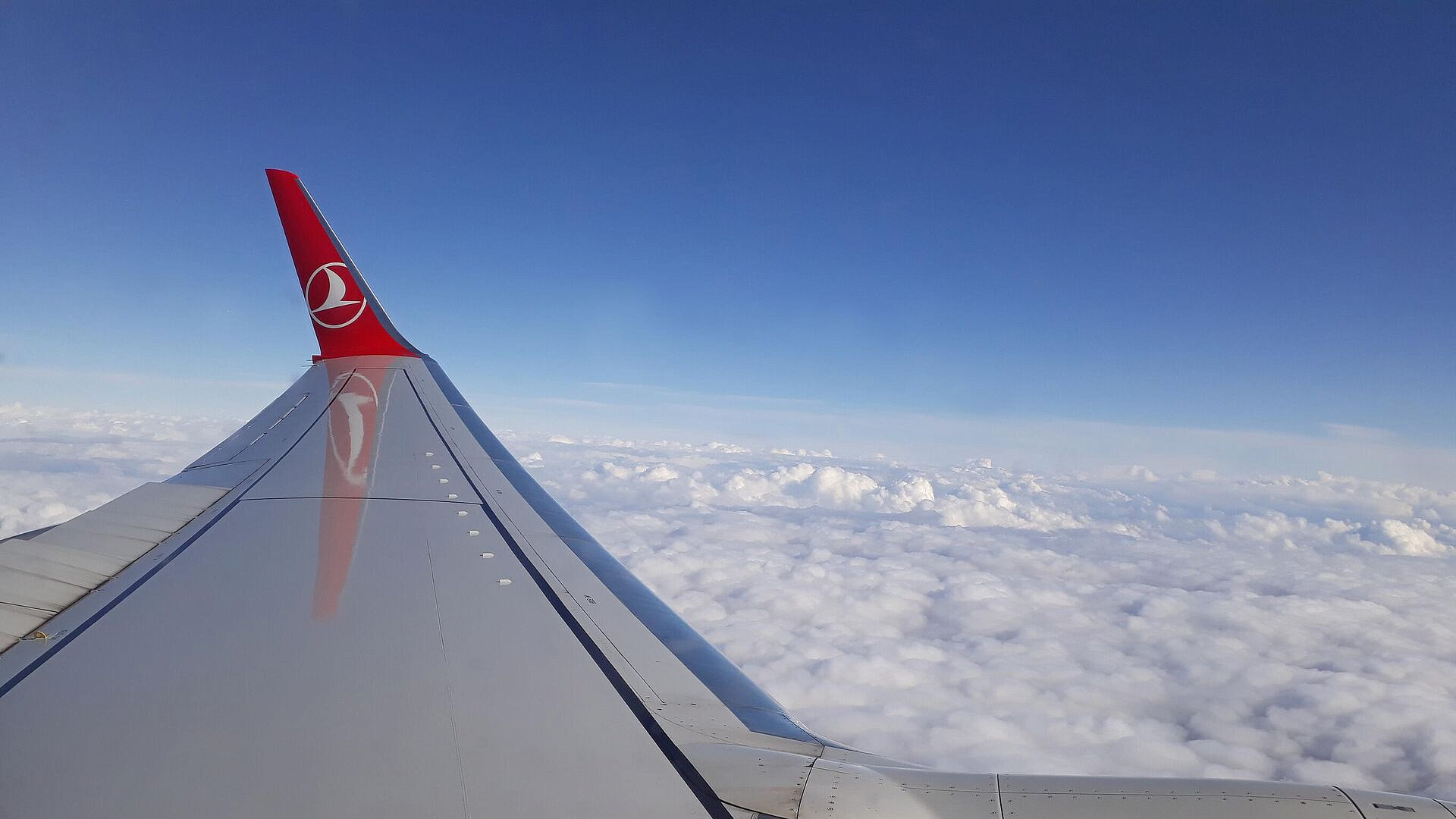 ���� �� �������� �� ���������� Turkish Airlines ����� �� ������ ������