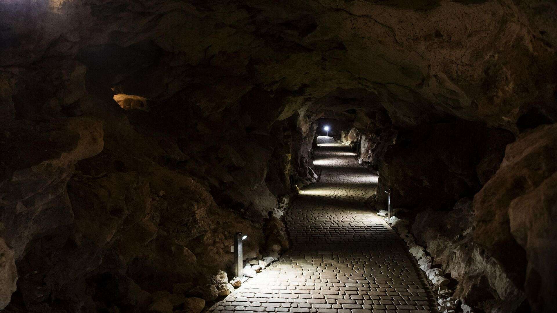 Спелеологи провели исследование пещер в Крыму в интересах Минобороны