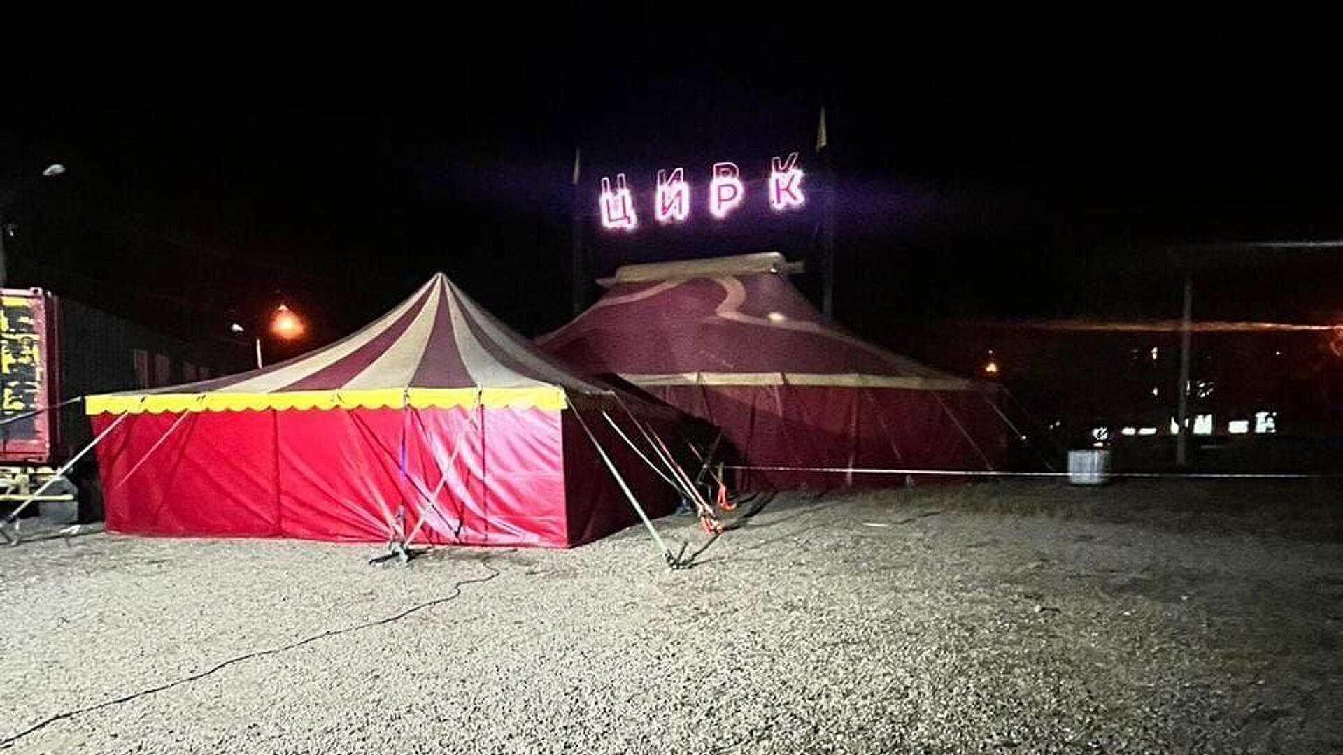 В Новокузнецке проверят цирк, заставлявший медведя выступать насильно