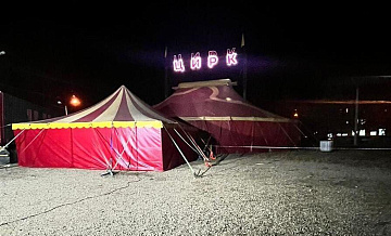 В Новокузнецке проверят цирк, заставлявший медведя выступать насильно