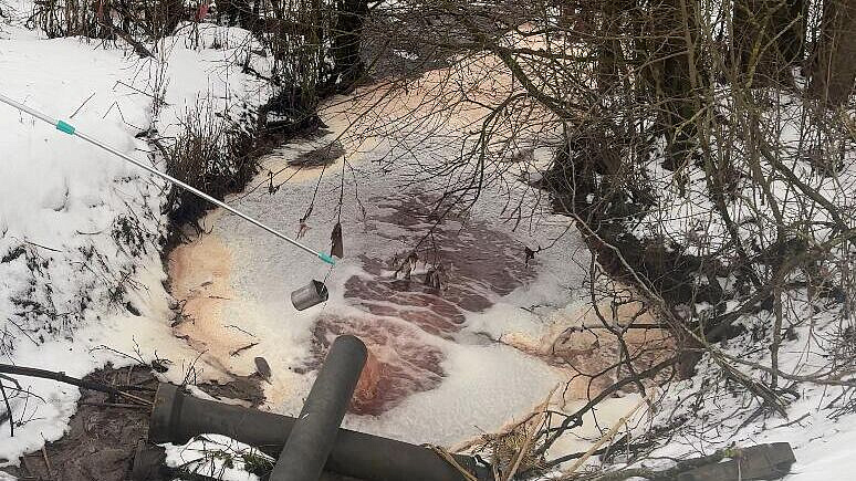 В Ленинградской области выявили превышение вредных веществ в реке Нейма