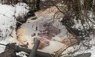 В Ленинградской области выявили превышение вредных веществ в реке Нейма