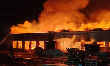 � ������� ������������� ����� �� ������ 