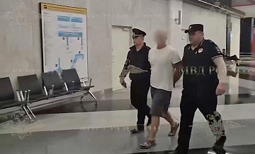 Появились подробности о мужчине, бросившем ребенка на пол в Шереметьево Появились подробности о мужчине, бросившем ребенка на пол в Шереметьево