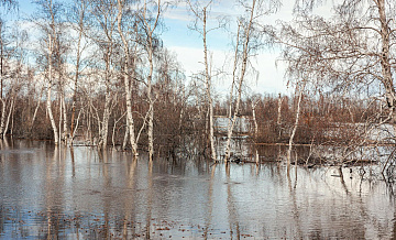 Поток талых вод хлынул по улице удмуртского села