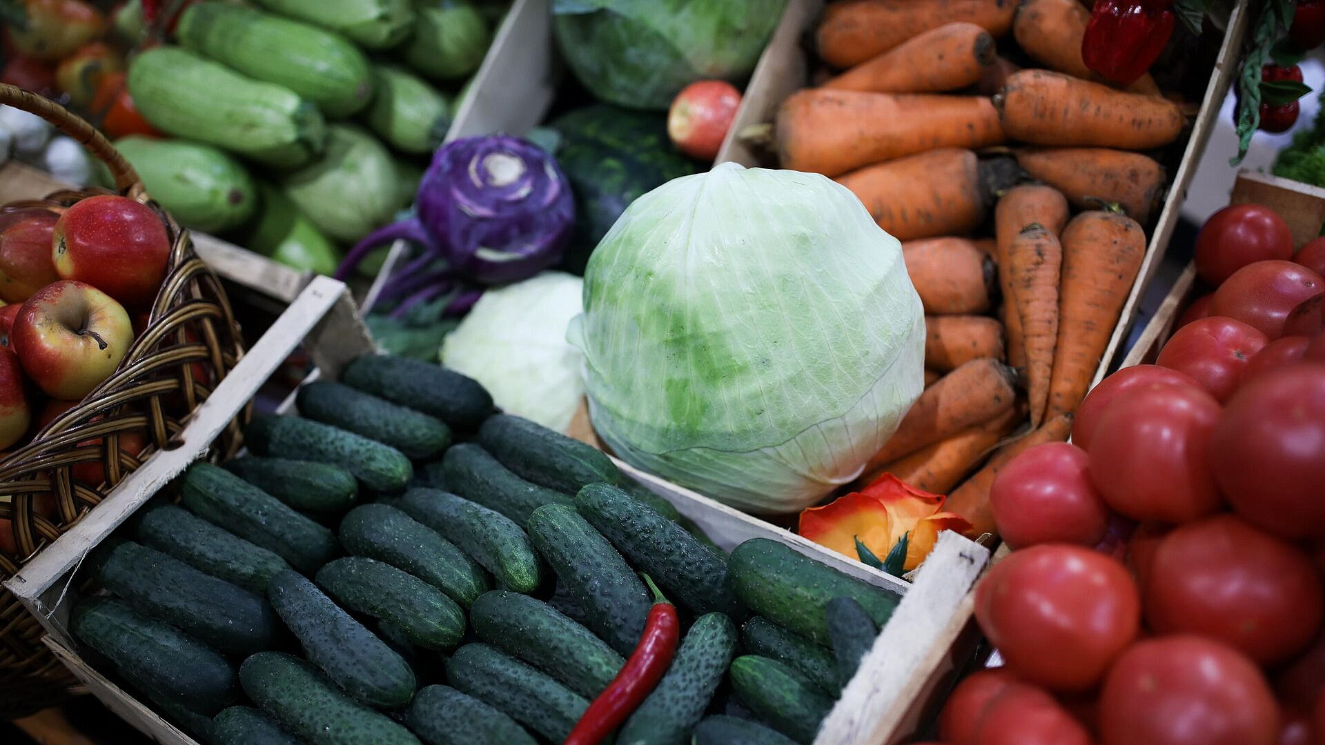 Эксперты ожидают рост мировых цен на продукты из-за климата