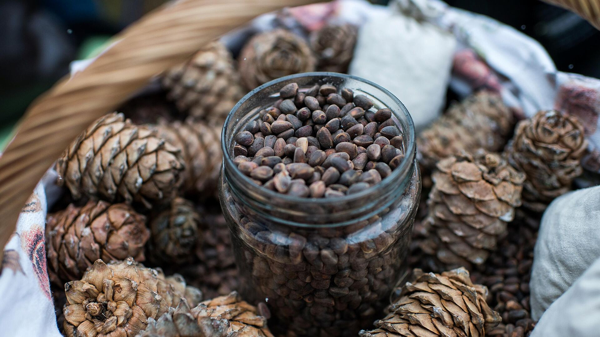 ��������������� ������� �������, ������� ����� ������� �������� ����