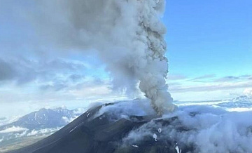 Вулкан Крашенинникова на Камчатке снова выбросил пепел