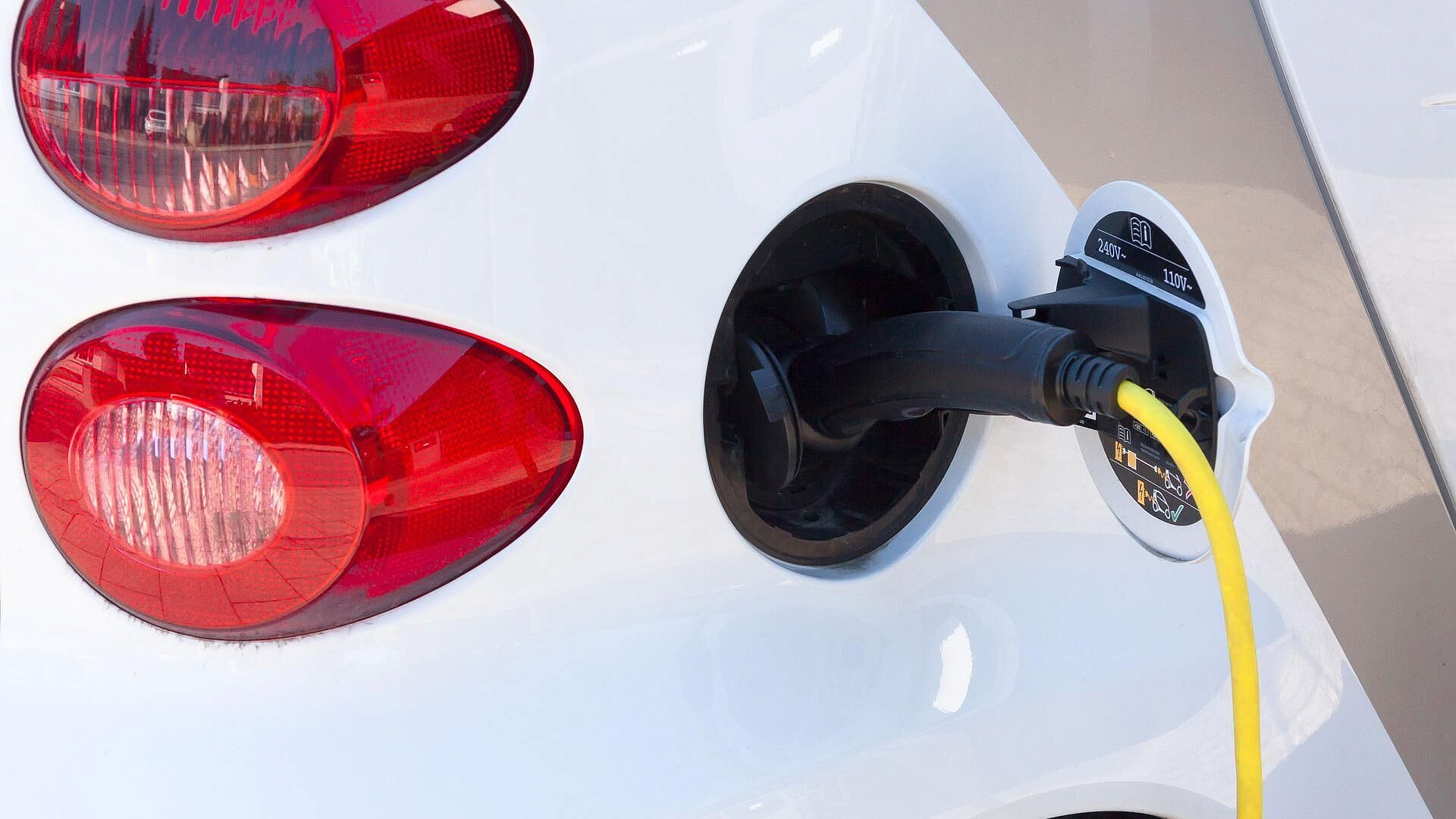 "�������" ���������� ��������� ���� �� �������� �����������������