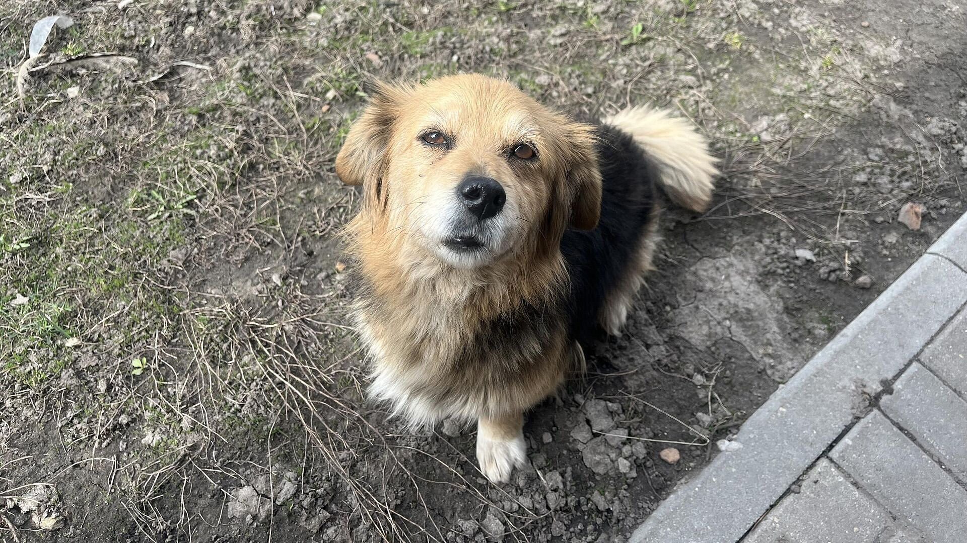 ������� ��������� � ����������� �������� �����