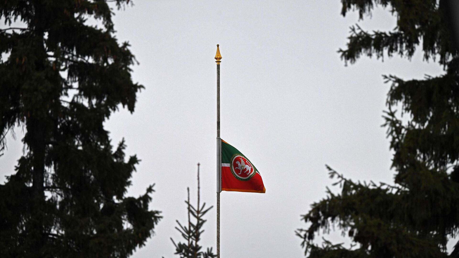 ��������� ������� ����� 1,2 ���������� ������ ���������� � ������-��������