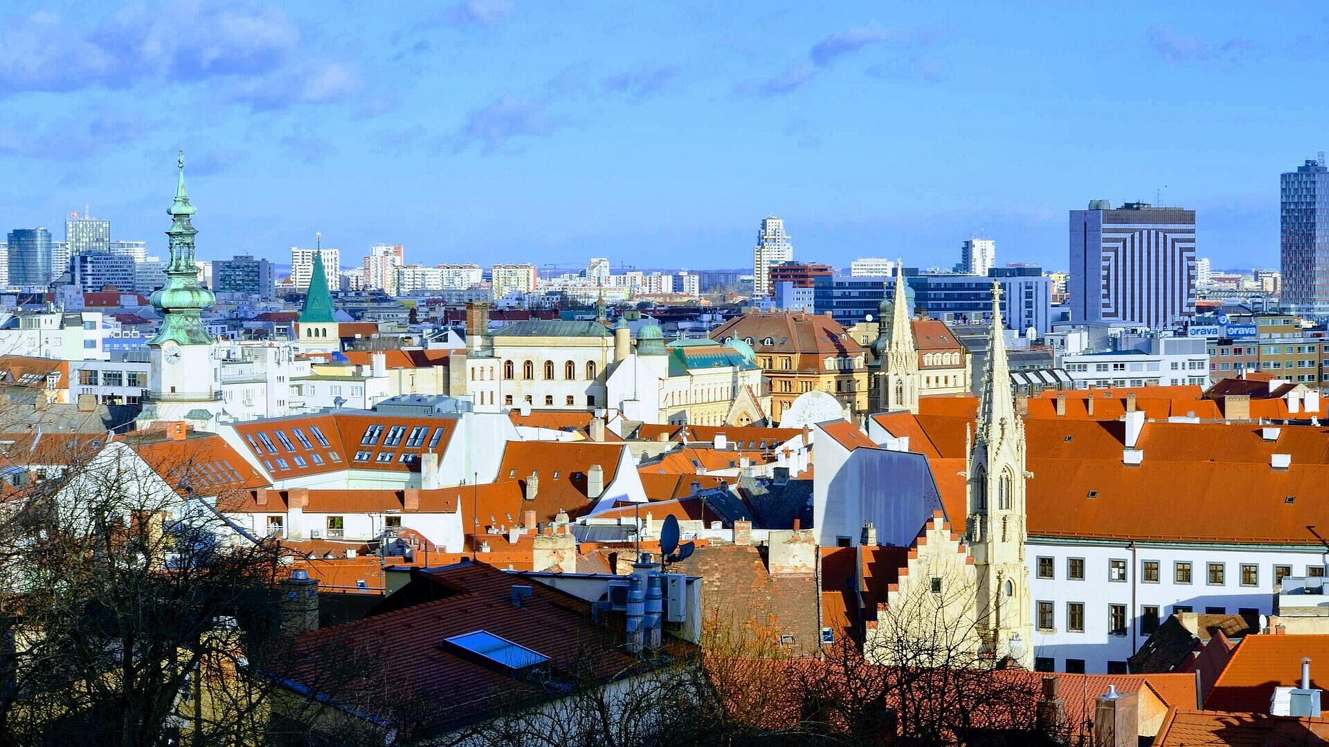 В Россотрудничестве рассказали о переговорах по Русскому дому в Братиславе