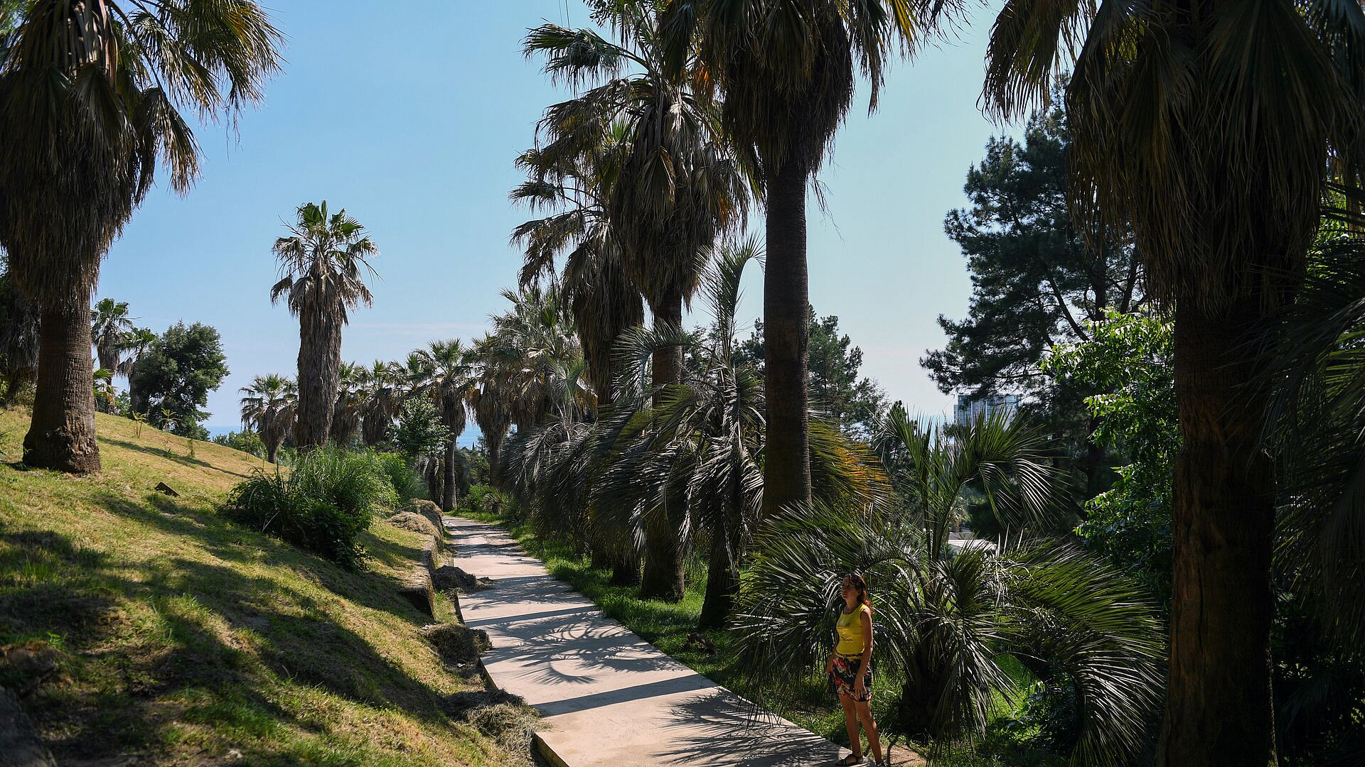 Генпрокурор рассказал о нарушениях в Сочинском национальном парке