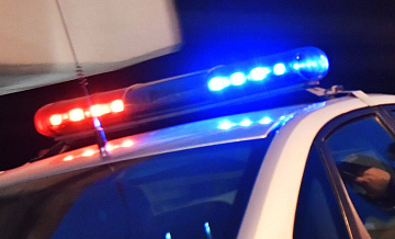 В Челябинской области водитель погиб после столкновения с лосем