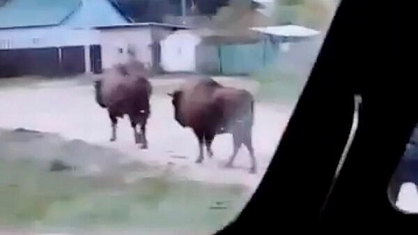 � ��������� ������� ����� ����� �� ������� � ����������� �� �������