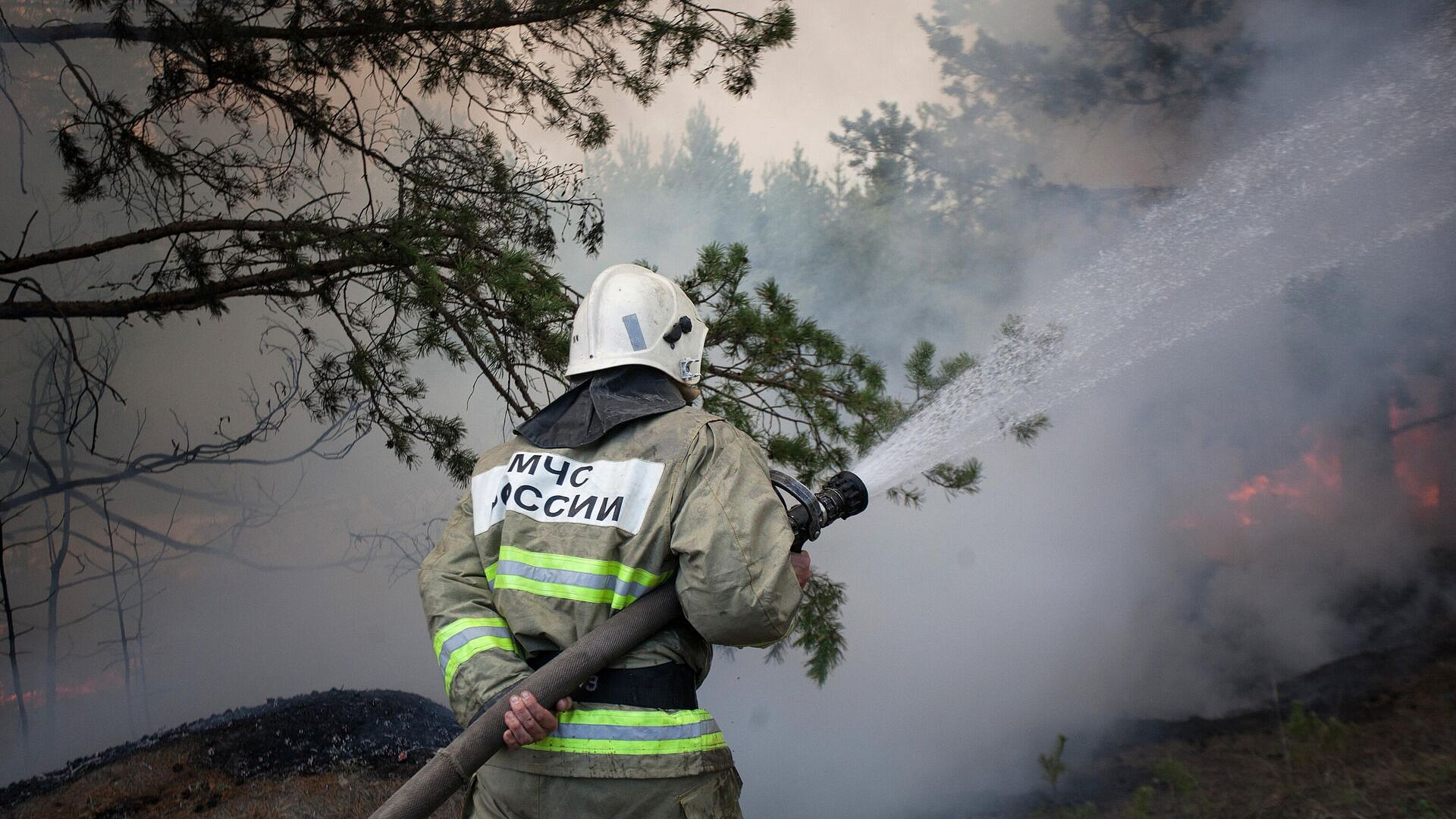 Под Алуштой ликвидировали открытое горение лесной подстилки