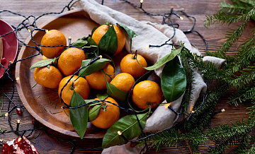 ���������: ������ � ����, ��� ������� ����� ������� � ������ ����