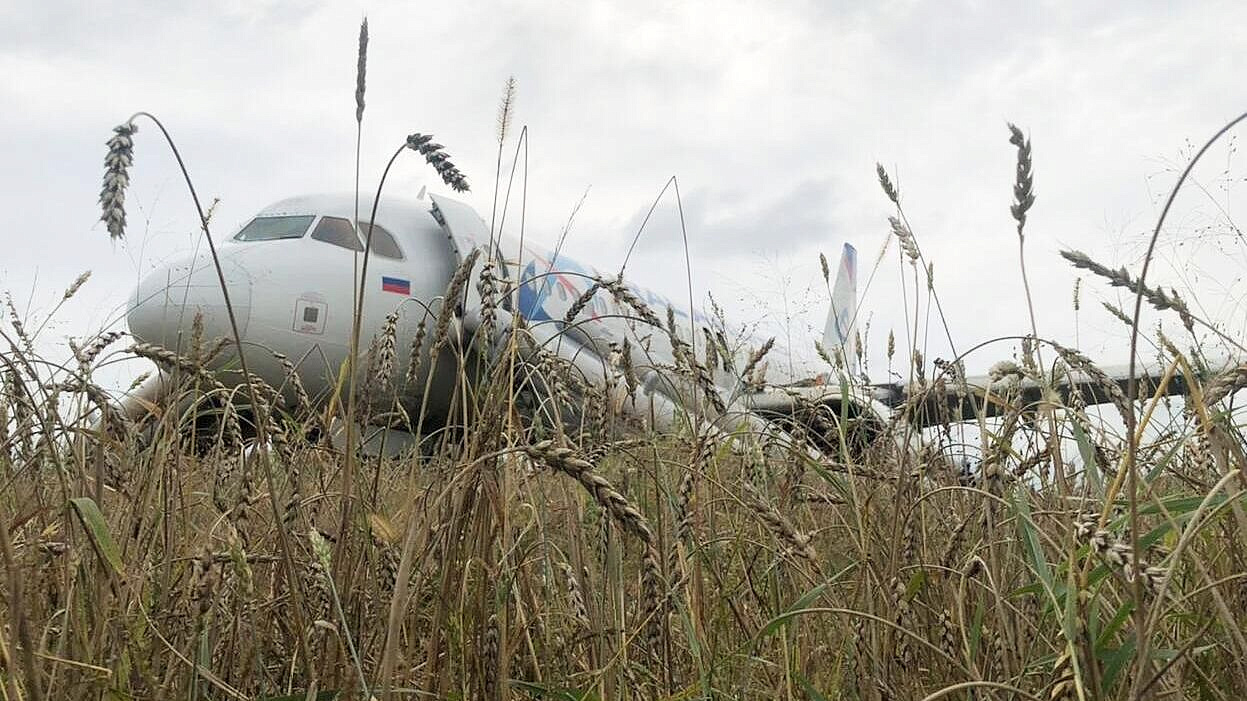 "Уральские авиалинии" разобрали самолет, севший в пшеничном поле в Сибири "Уральские авиалинии" разобрали самолет, севший в пшеничном поле в Сибири