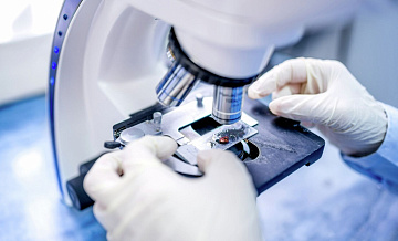 Эксперт рассказала, чем опасен пастереллез для человека