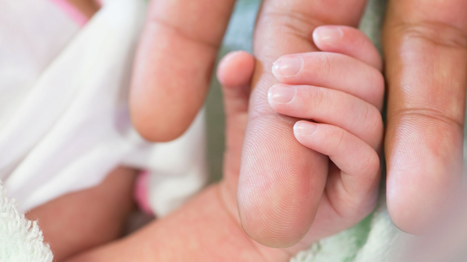 � ������ ������� ������� ������������� ���� �� ������ ��������