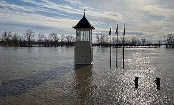 Уровень воды в Ишиме у одноименного города снизился на 11 сантиметров