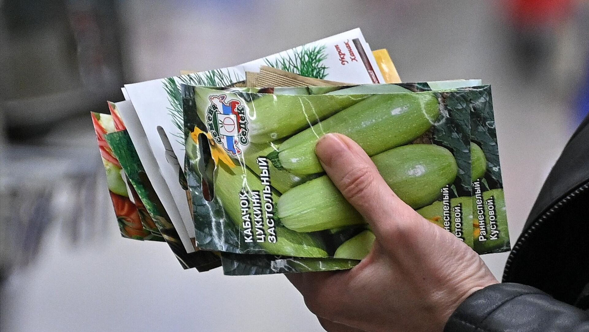 ��������� ������� ����� ������������� ����� ��� ������ ����� ������