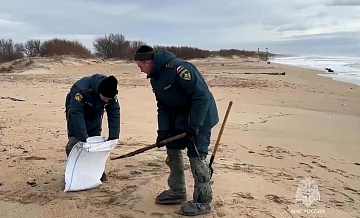 На Кубани рассказали, что будет с пострадавшими из-за разлива нефти птицами