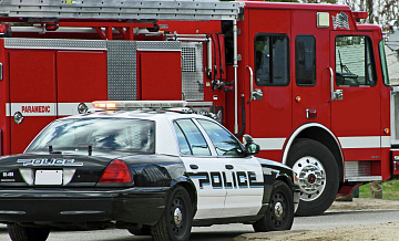 СМИ: кошка выжила после падения в 120-метровый каньон в США