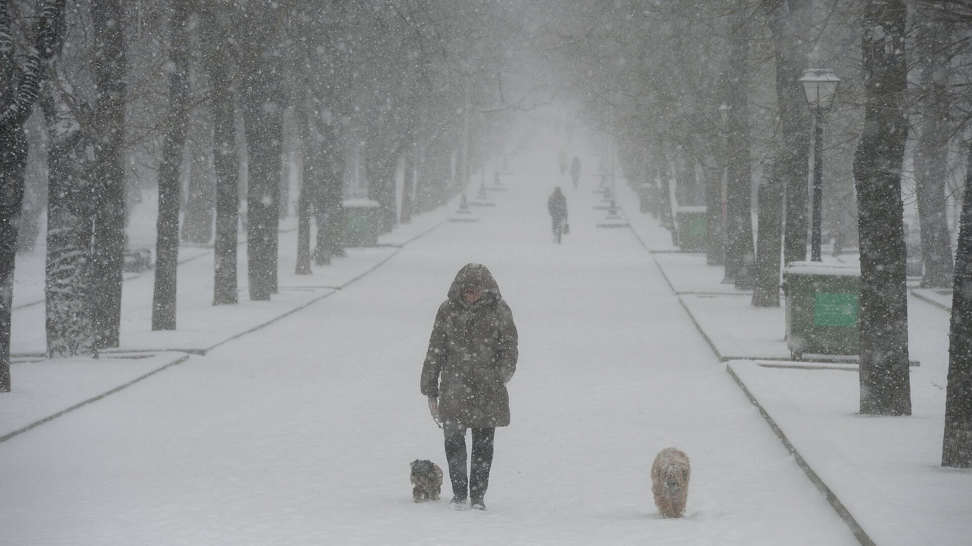 Синоптик рассказал о выпавшей в Московском регионе норме осадков