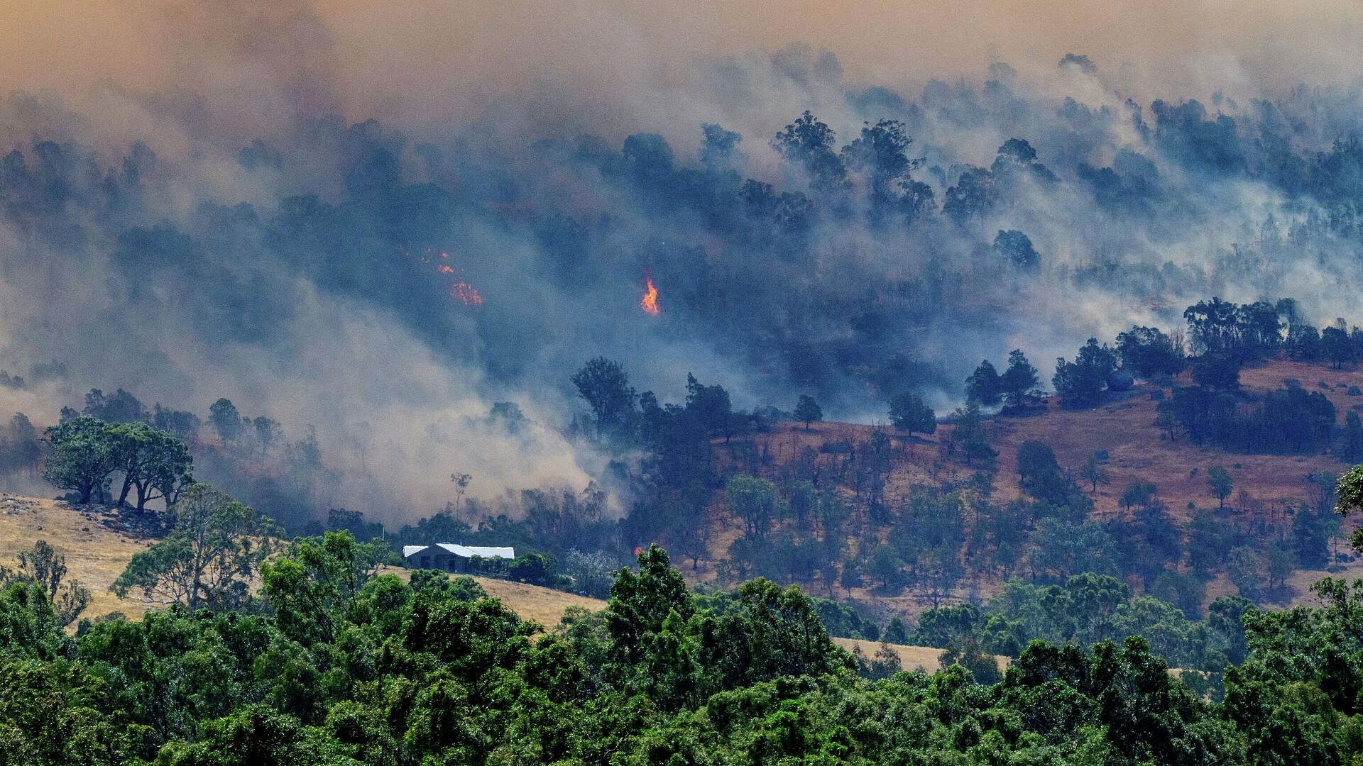 � ��������� ����� ��������� ����� 300 ����� �������� ����