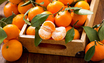 �������� ������� ���������� ������ ���������� � ����