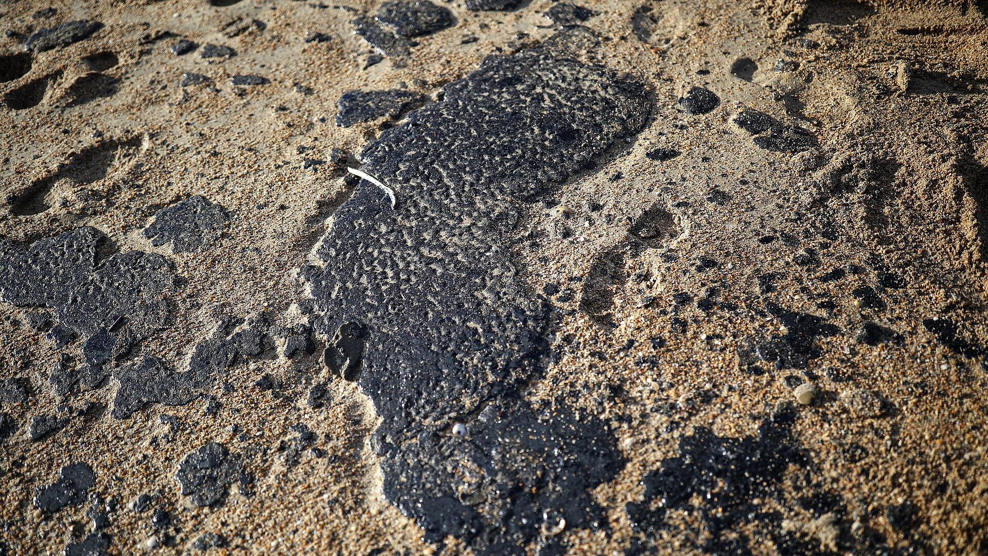 � �������� ���� ����� ������� �������� ��������