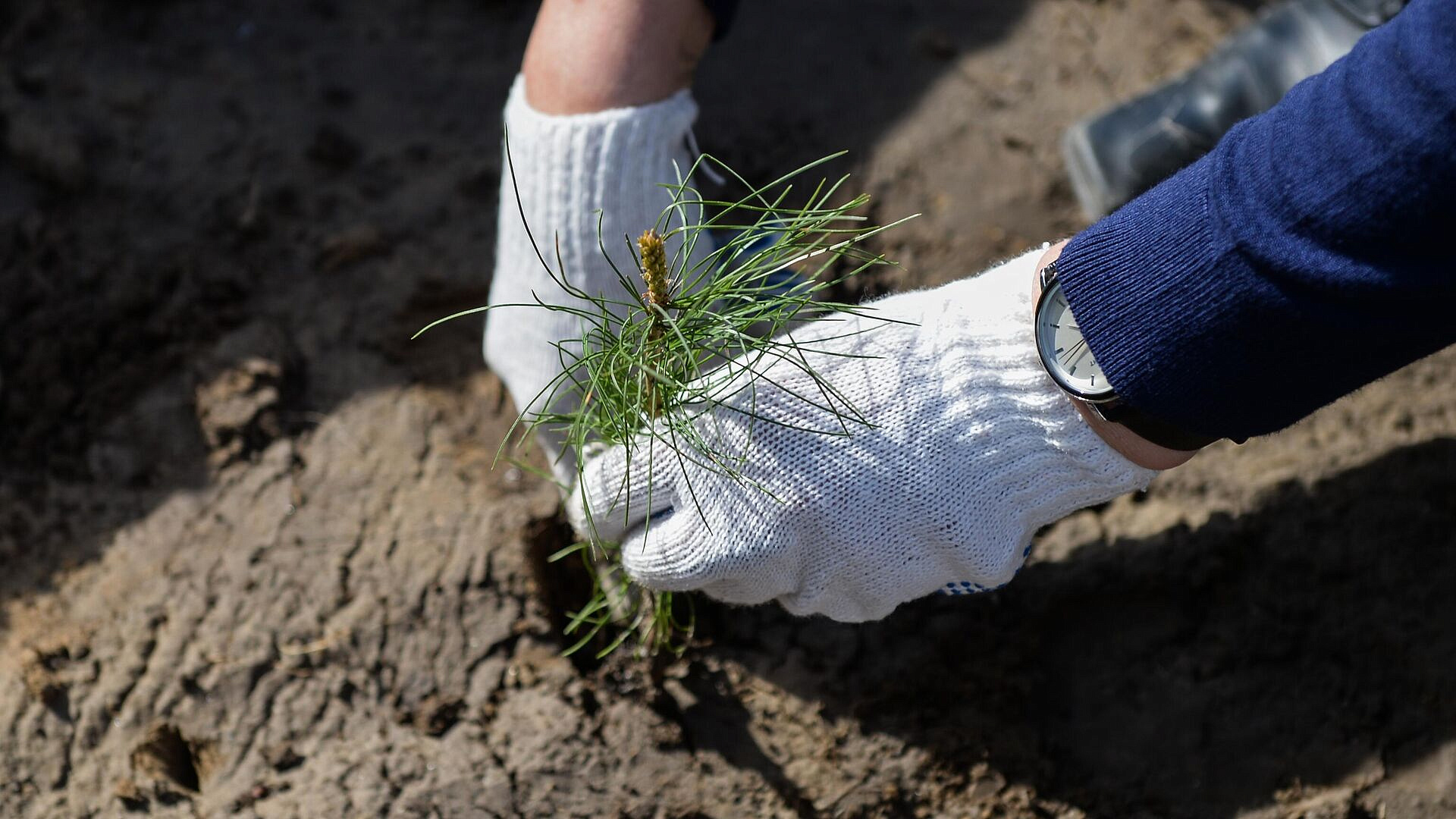 Фонд Мельниченко стал партнером премии "Экология – дело каждого"