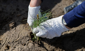 Фонд Мельниченко стал партнером премии "Экология – дело каждого"