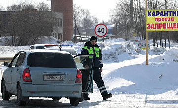 Названы сроки локализации очагов пастереллеза в Новосибирской области