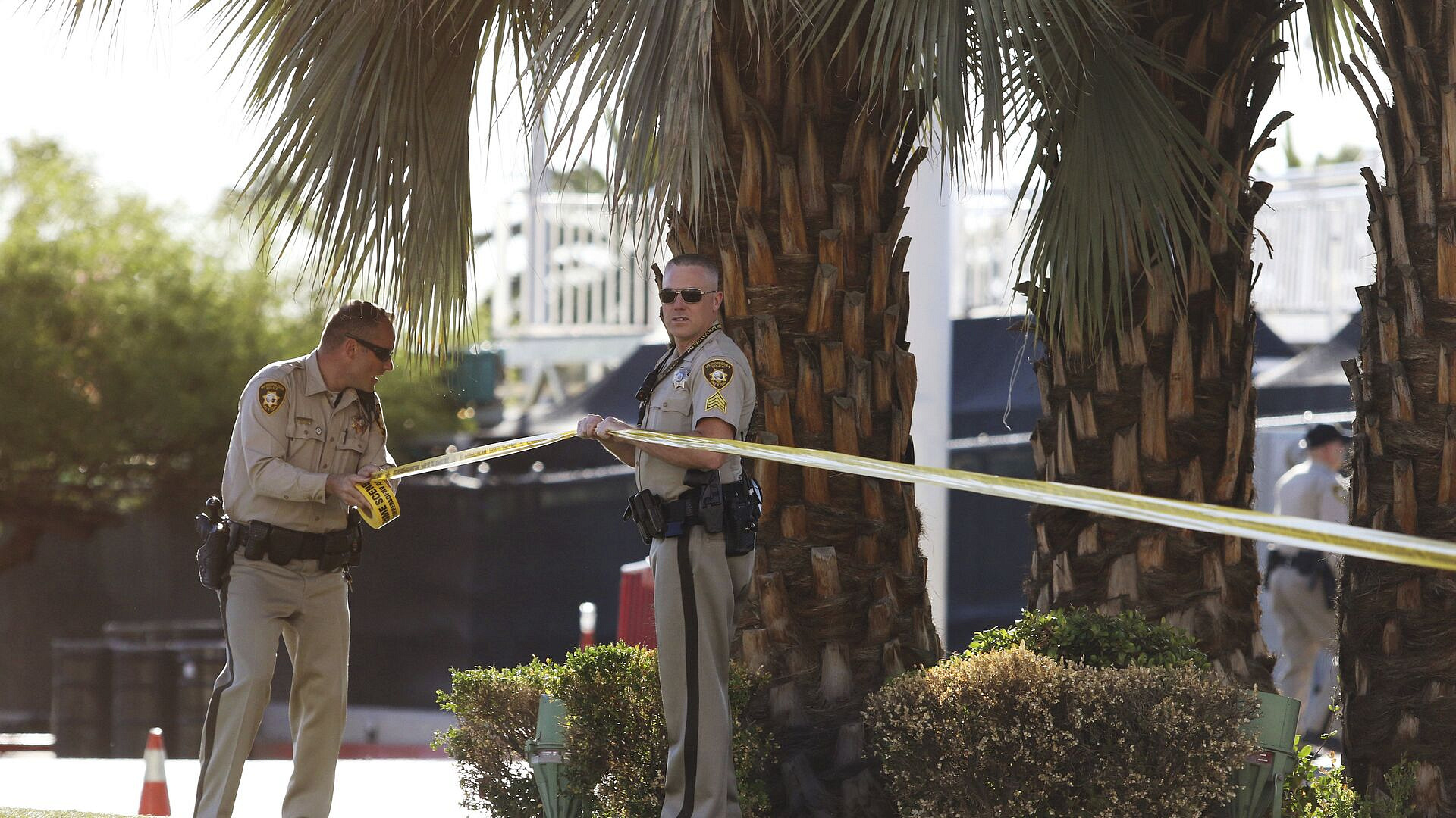 � ���-������ � ���������� �������� ����� �������