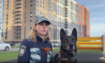 Служебная собака помогла найти ребенка, пропавшего в Ленинградской области