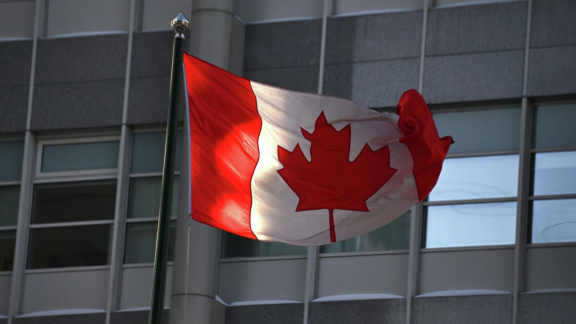 ������ ������� ���� ������ ����������� � ����������