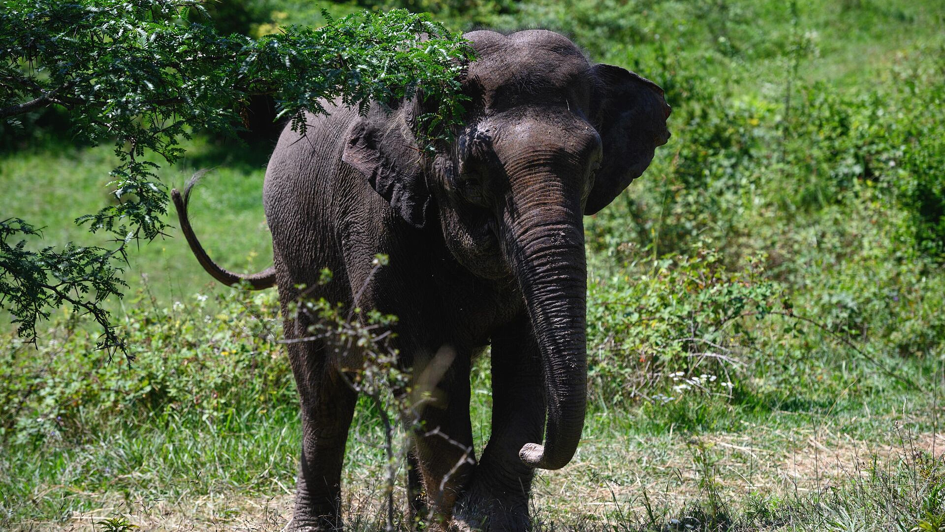 � �������� ��������� 200 ������ ��-�� �������� ��������������