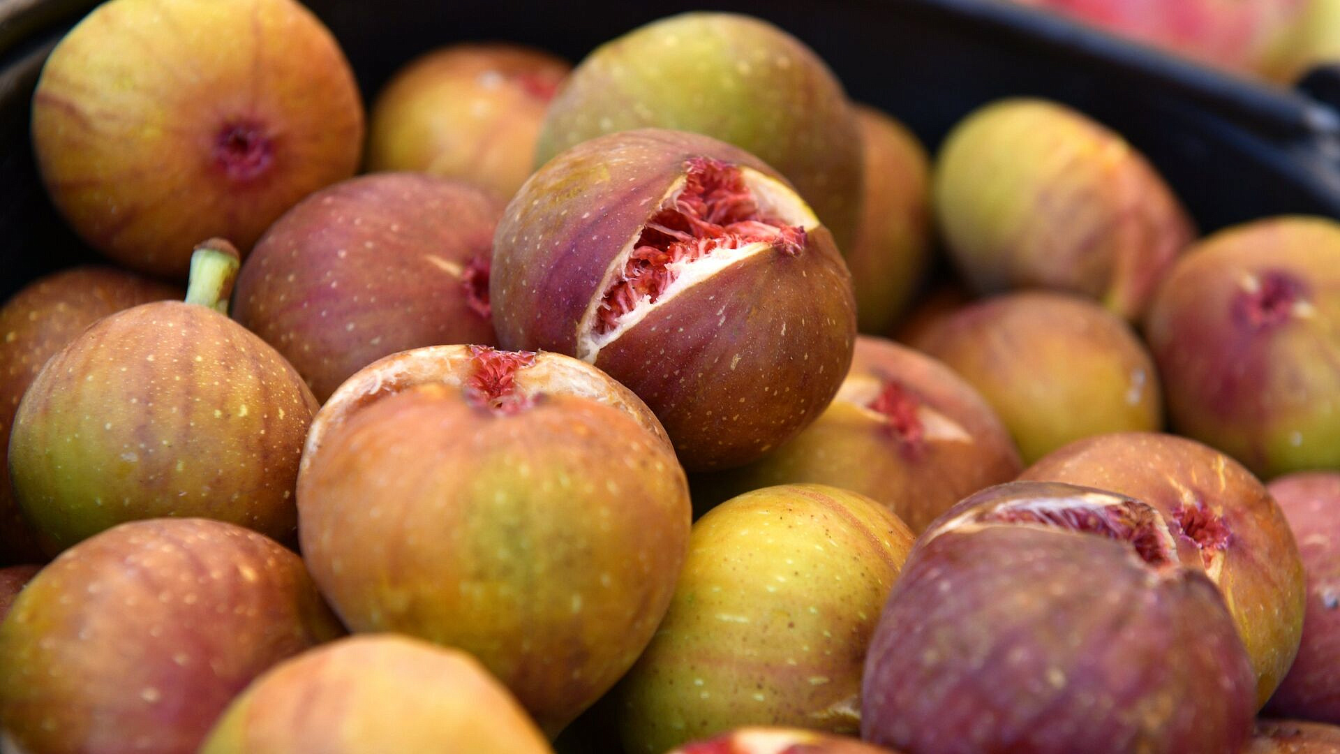 �������� �������� �� ����������� ����� ������ ����