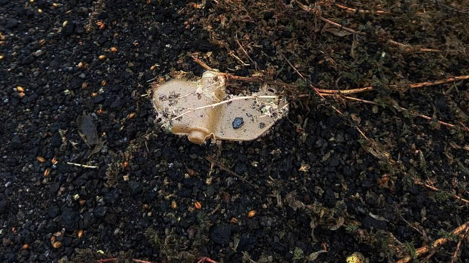 Киев предостерегли от нарушения обязательств по противопехотным минам