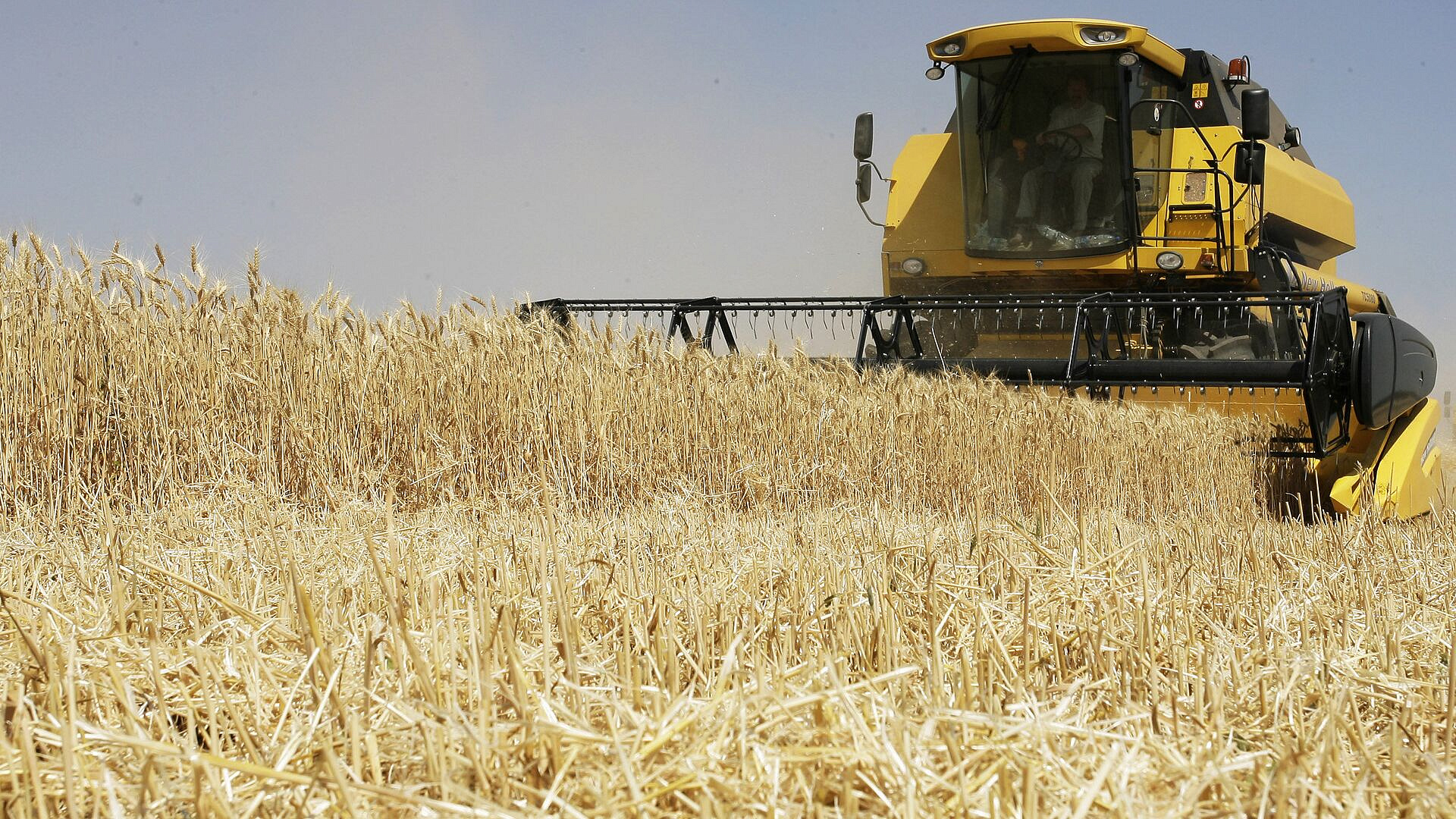 Экспорт российского зерна может составить 57 миллионов тонн