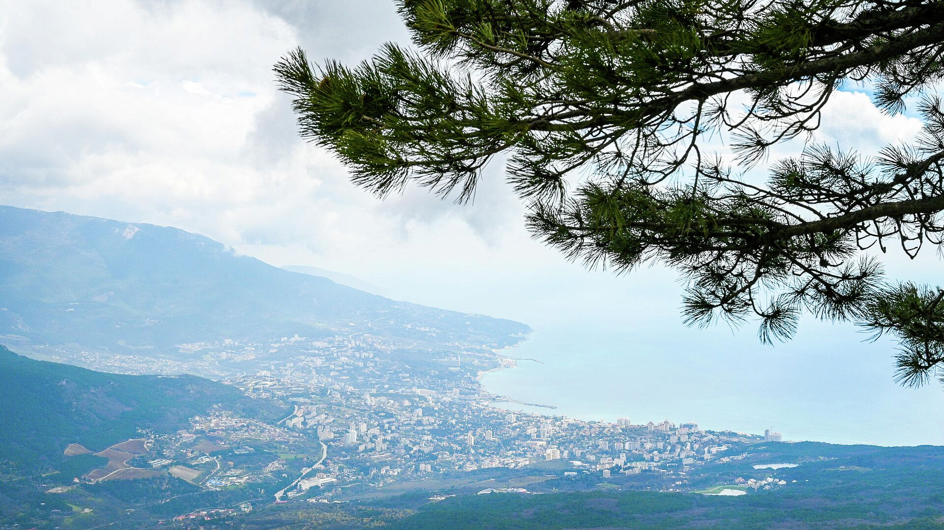 �������� ����� ������� �������� �� ���� ��� �� ������������ � ������ ����