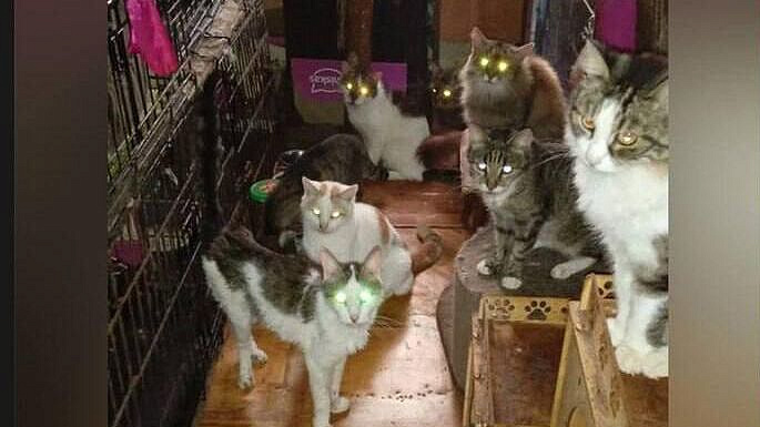 ��������� ������ � �������� 90 ����� � �������� �������������