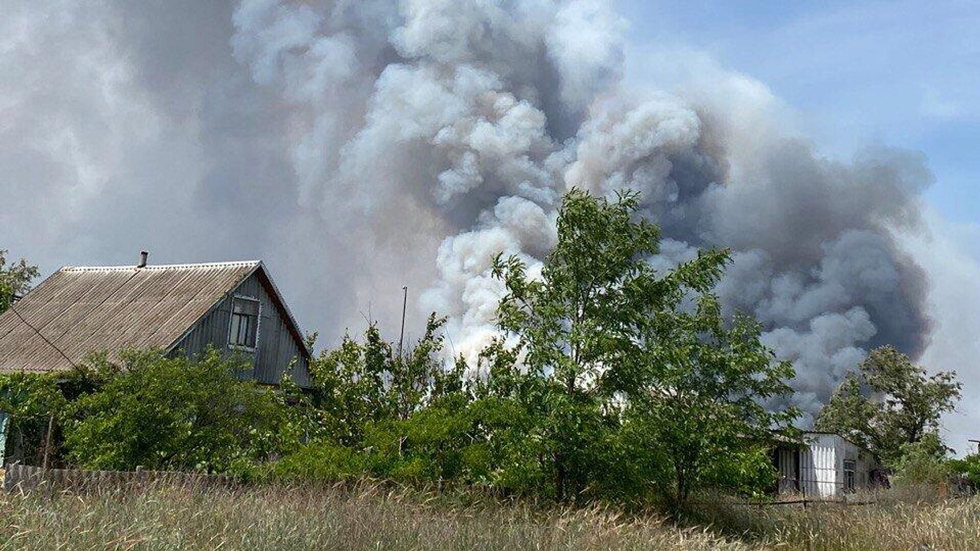 ВСУ сровняли с землей уникальные поля диких орхидей на Кинбурнской косе